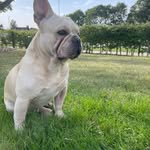 Paul Audley - @paulaudley34 - Instagram