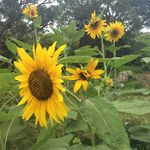 Paul Auman - @paulauman - Instagram