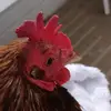 Paula Paust - @paulapaust - TikTok