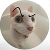 ʚ♥︎ɞ - @.paulave - TikTok