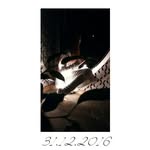 Paula Viskere - @paulaviskere - Instagram