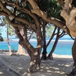 Jean-Paul Babin - @jpbabin - Instagram
