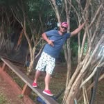 Paulao José - @paulaobaccili - Instagram