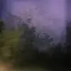 pauletbezb - @pauletbaez - TikTok