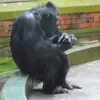 Paul Bailiff - @paulbailiff - TikTok