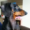 Paulo.C.B - @paulobaisch - TikTok