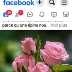 Paul Balek - Facebook