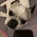Paul Balko - Facebook