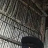 John Paul Bargo - @john.paul.bargo - TikTok