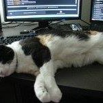 Paul Barnaby - @barnabygames - Instagram