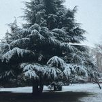 Paul Barnaby - @paul.barnaby.7946 - Instagram