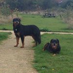 Paul Barnaby - @barney196666 - Instagram
