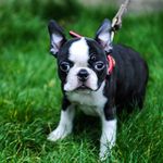 Paul Barnaby Renoir - @paul_barnaby_renoir - Instagram