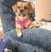 Paul Barnhart - Facebook