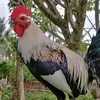 paulbarrientos792 - @paulbarrientos792 - TikTok