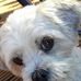 Paul Barstow - Facebook
