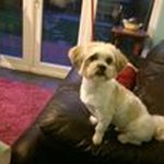 Paul Barstow - @barstowp - Instagram