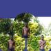P Barahm P Baram - Facebook