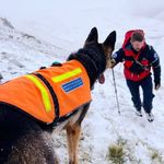 Paul Bartram - @bartrampaul - Instagram