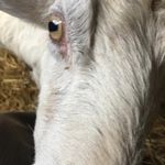 Paul Bartram - @bartram1 - Instagram