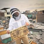 Jean Paul Basurto - @jeanpaulbasurto - Instagram