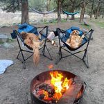 Paul Batchelder - @harpooner562 - Instagram