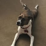 Paul Batz - @paul.batz.372 - Instagram