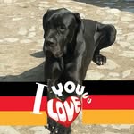 Paul - @paul_baude_ - Instagram
