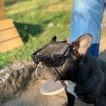 Paul Baumgart - @baumgart465 - Instagram