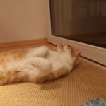 Paul Baumgartner - @paul.baumgartner.758 - Instagram