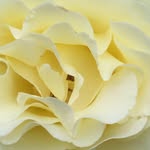 Paul Baunton - @paulbaunton - Instagram