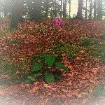 Paul Bayer - @paul_bayer_1 - Instagram