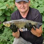 Paul Bayley - @plbyla - Instagram
