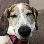 Paul Beagle - @paulbeagle - Instagram