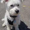 paulbeaney878 - @paulbeaney878 - TikTok
