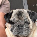 Paul Beardmore - @paul.beardmore.3 - Instagram