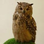 Paul Beardmore - @beardmore.paul - Instagram