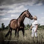 Pauline Beardmore - @paulinebeardmore - Instagram