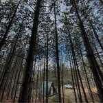 paul.beaty66 - @paul__beaty - Instagram