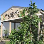 PaulBecnelCitrus - @paulbecnelcitrus1 - Instagram