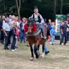Paul bedea - @paul_bedea_ - TikTok