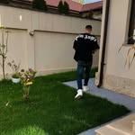 Paul Bedea - @paulbedea - Instagram