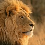 Paul Bedi - @paulbedi7 - Instagram