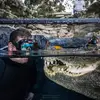 paulpjbednarz - @paulpjbednarz - TikTok