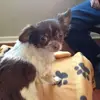 Paul Beeler731 - @paulbeeler731 - TikTok