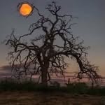 Paul Beeley - @paul.beeley - Instagram