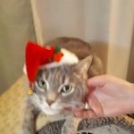 Carol A O'Donnell- Huson - @paul.beeney - Instagram