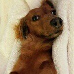 Paul beene - @beeano70 - Instagram