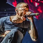 Paul Beer - @king_paulllo - Instagram