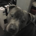Paul Beesley - @pbeesley72 - Instagram